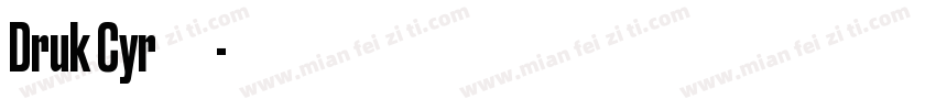 Druk Cyr 字体家族所有风格字体转换